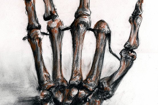 A sketch by NYU med student Michael Malone who takes an art and anatomy class